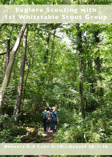 carnival_scout_flyerv2